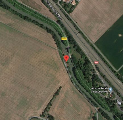 site_sanglier